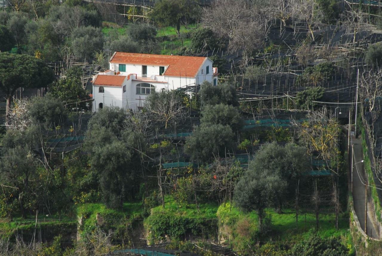 Azienda Agricola Veniero Piano di Sorrento Exterior photo